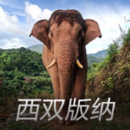 揭秘：轰